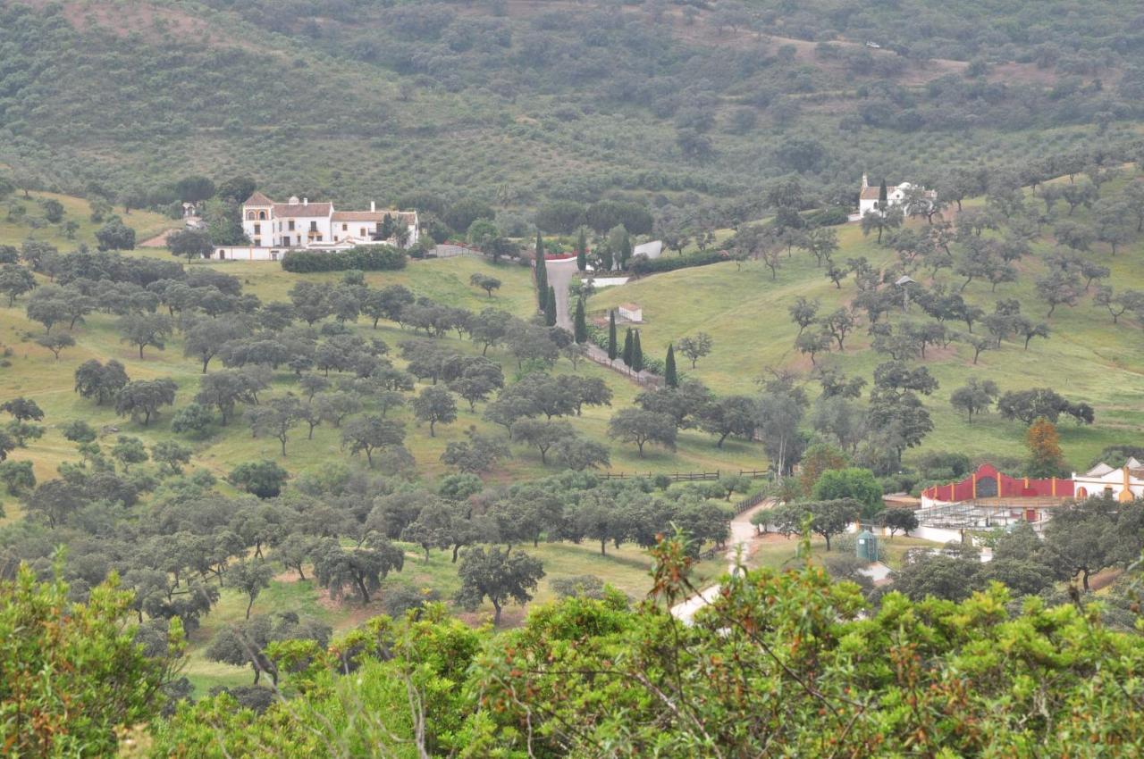 La Rejaquera Villa Villanueva del Rio y Minas Exterior photo
